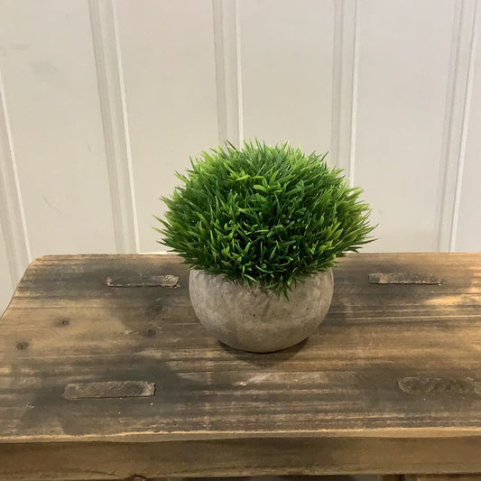 Grass / Potted (CB782)