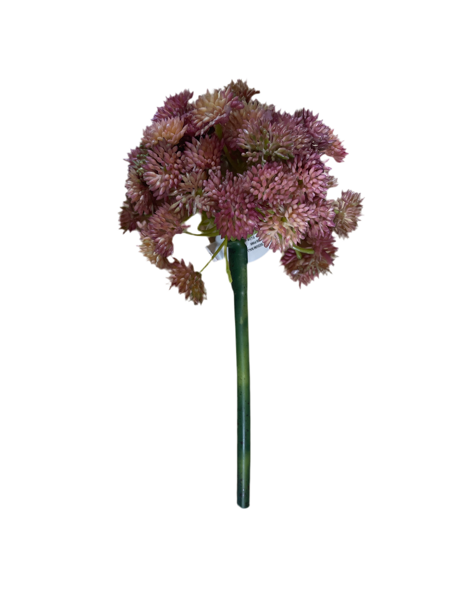 CMC262PK Sedum Ball Pick