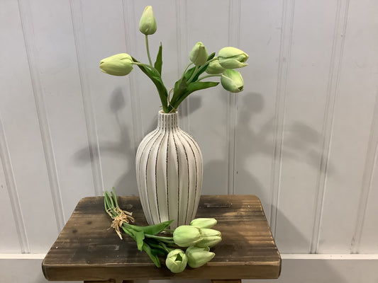 Tulip Bundle - Green/White (CMC009)