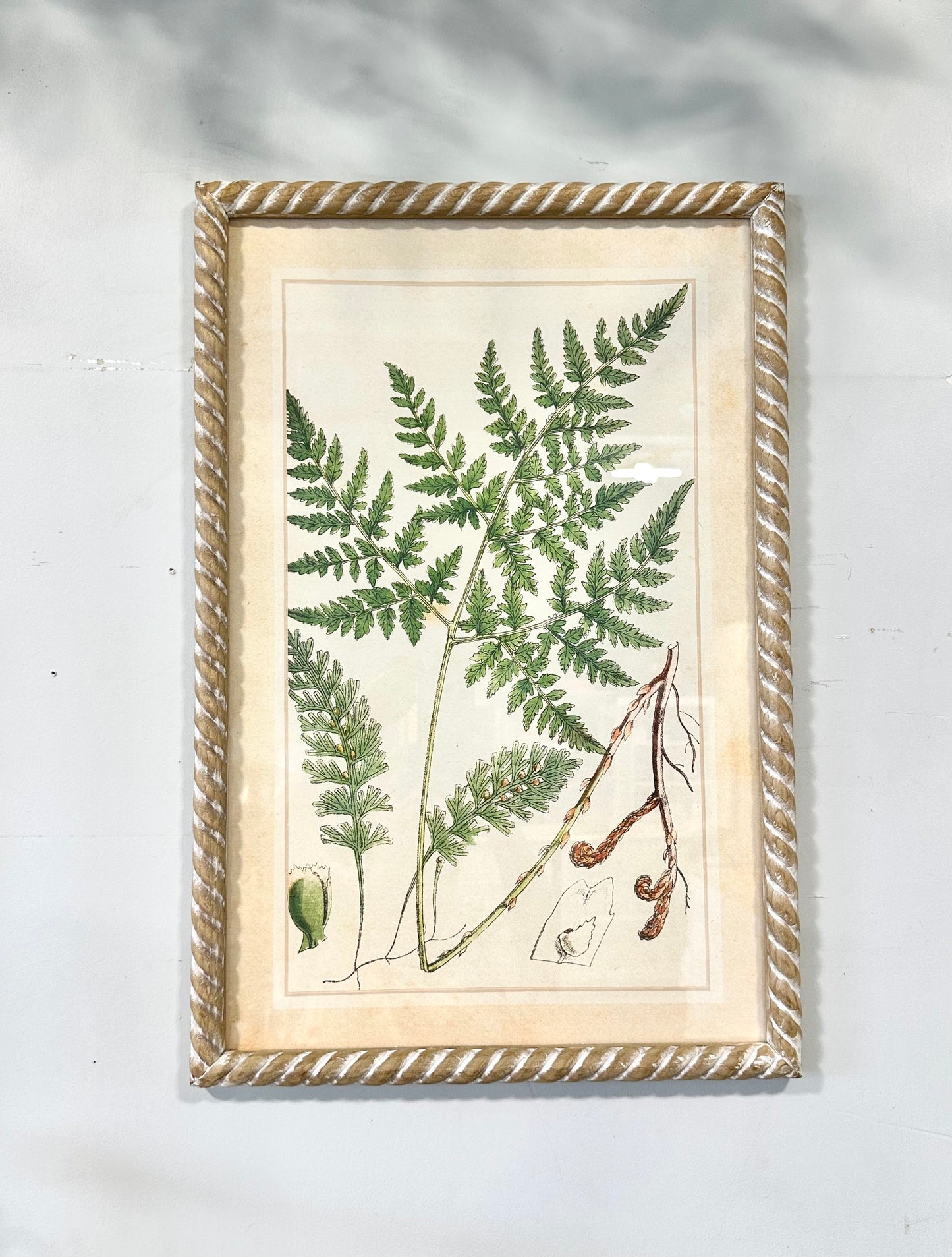 RZ4508 Wall Hanging - Botanical Greens