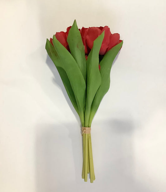 Tulip Bundle / Red (DH16)