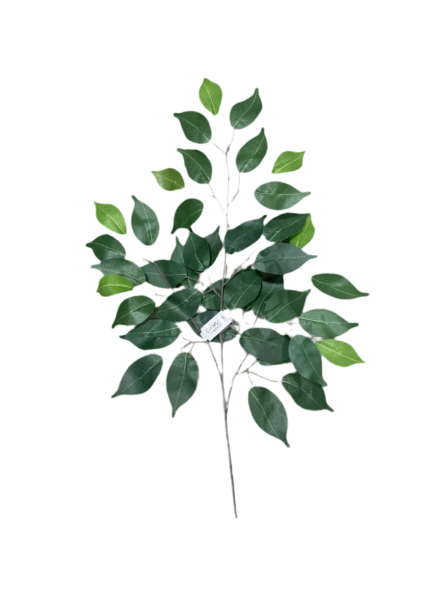 CMC119GR Ficus Leaf Spray