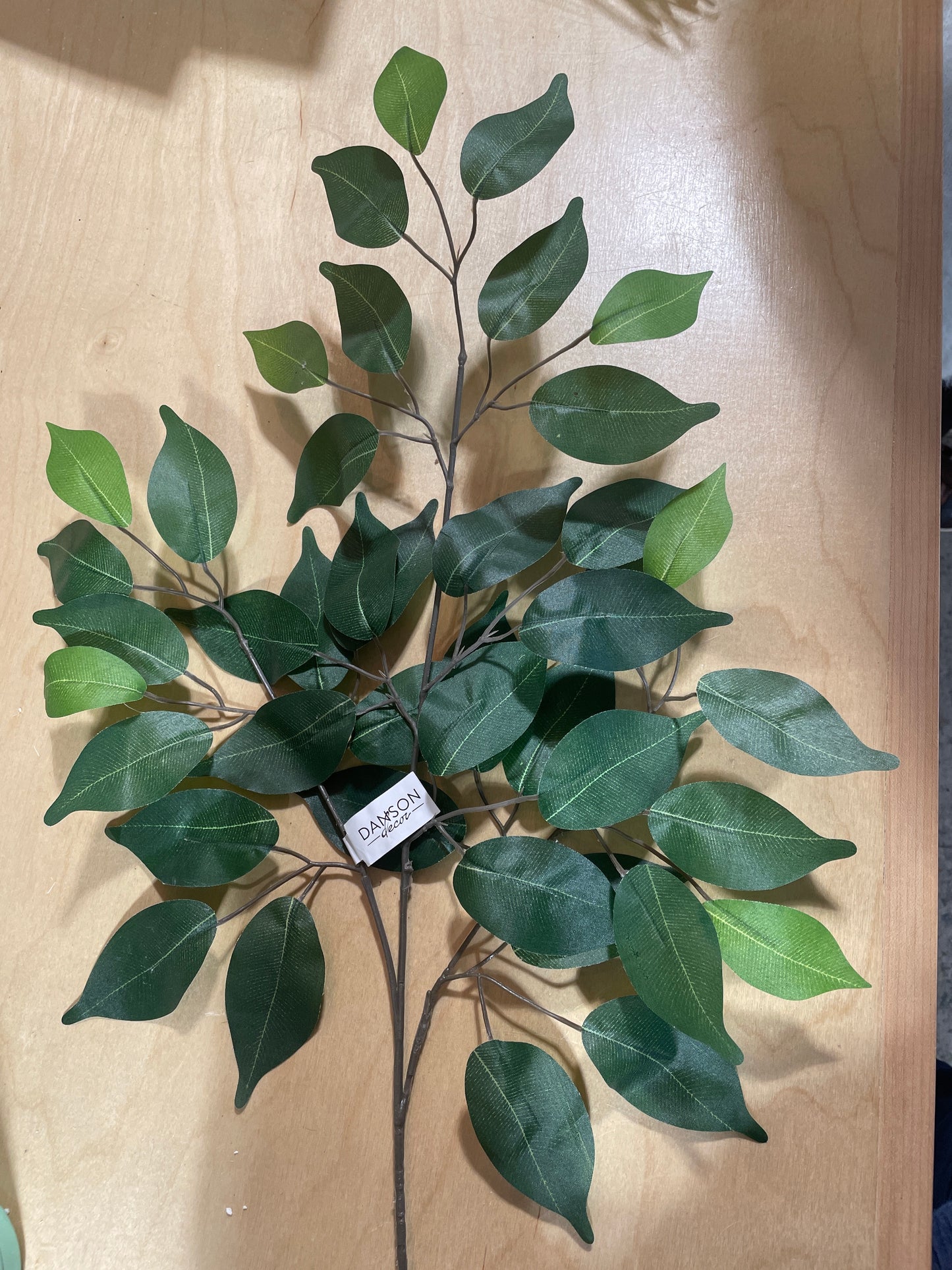 CMC119GR Ficus Leaf Spray