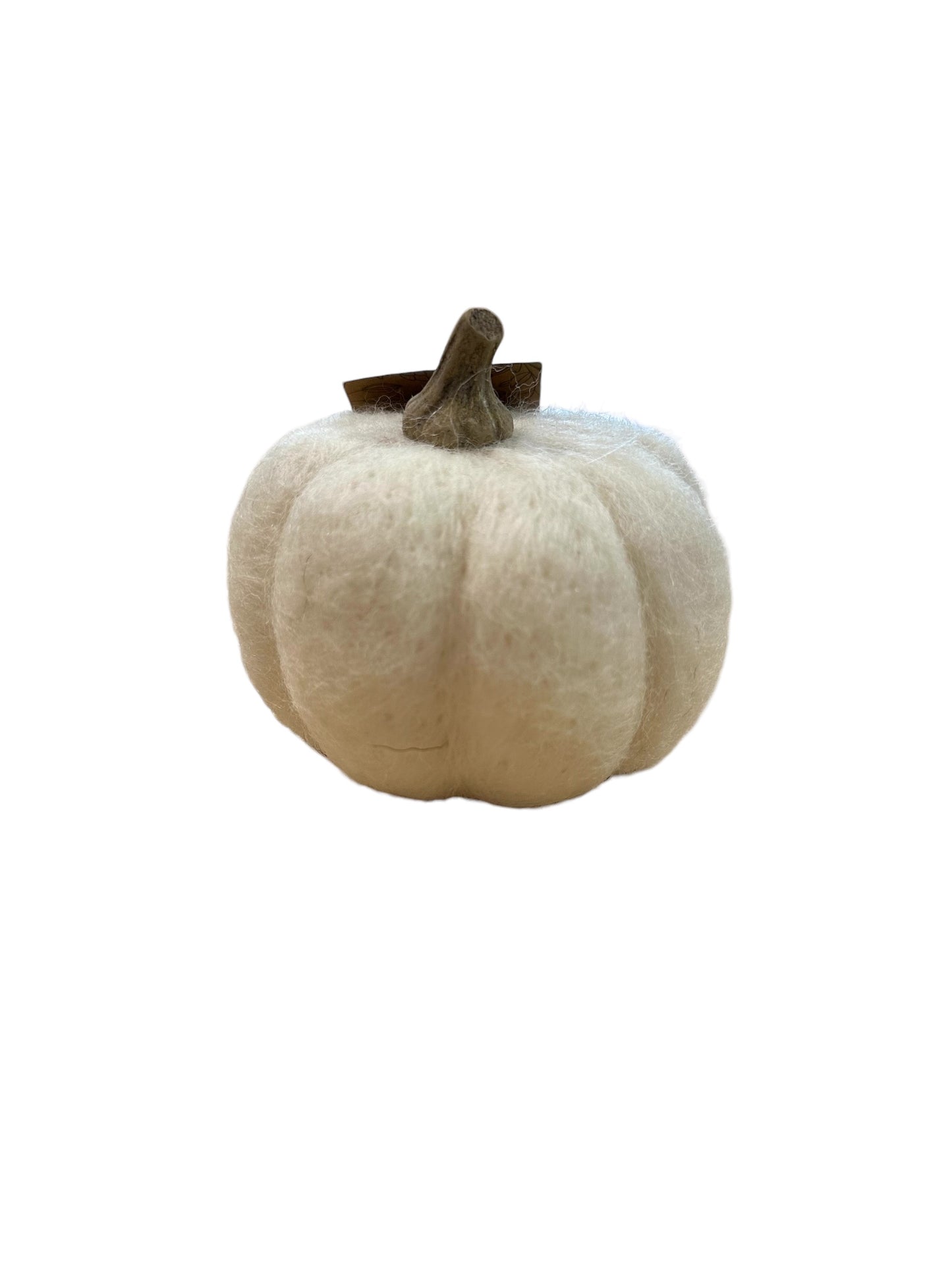 P1035 - pumpkin/ small