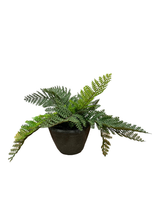 RZ2147A/B/C Greenery / Ferns