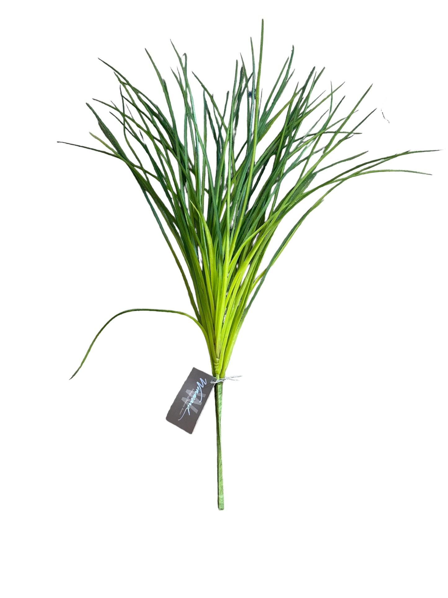 Onion Grass Bush (WIN0388)