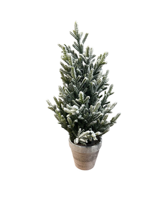 NOS5615-Christmas Tree in pot