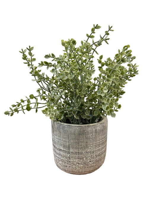 Potted Plant (NOS8573)