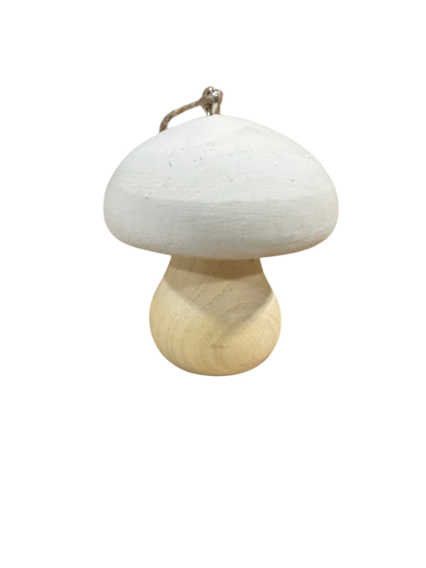 CMC590- Ornament / Wood Mushroom