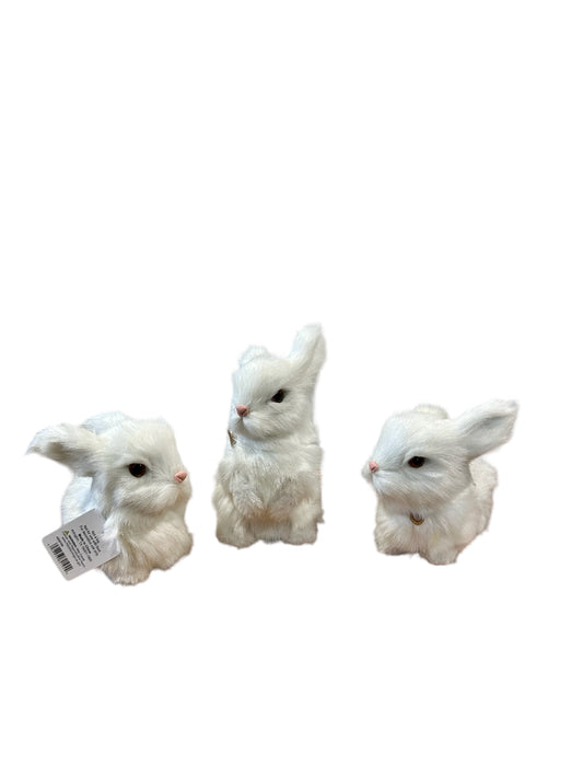 RAZ0100 -Bunnies / Soft Furry