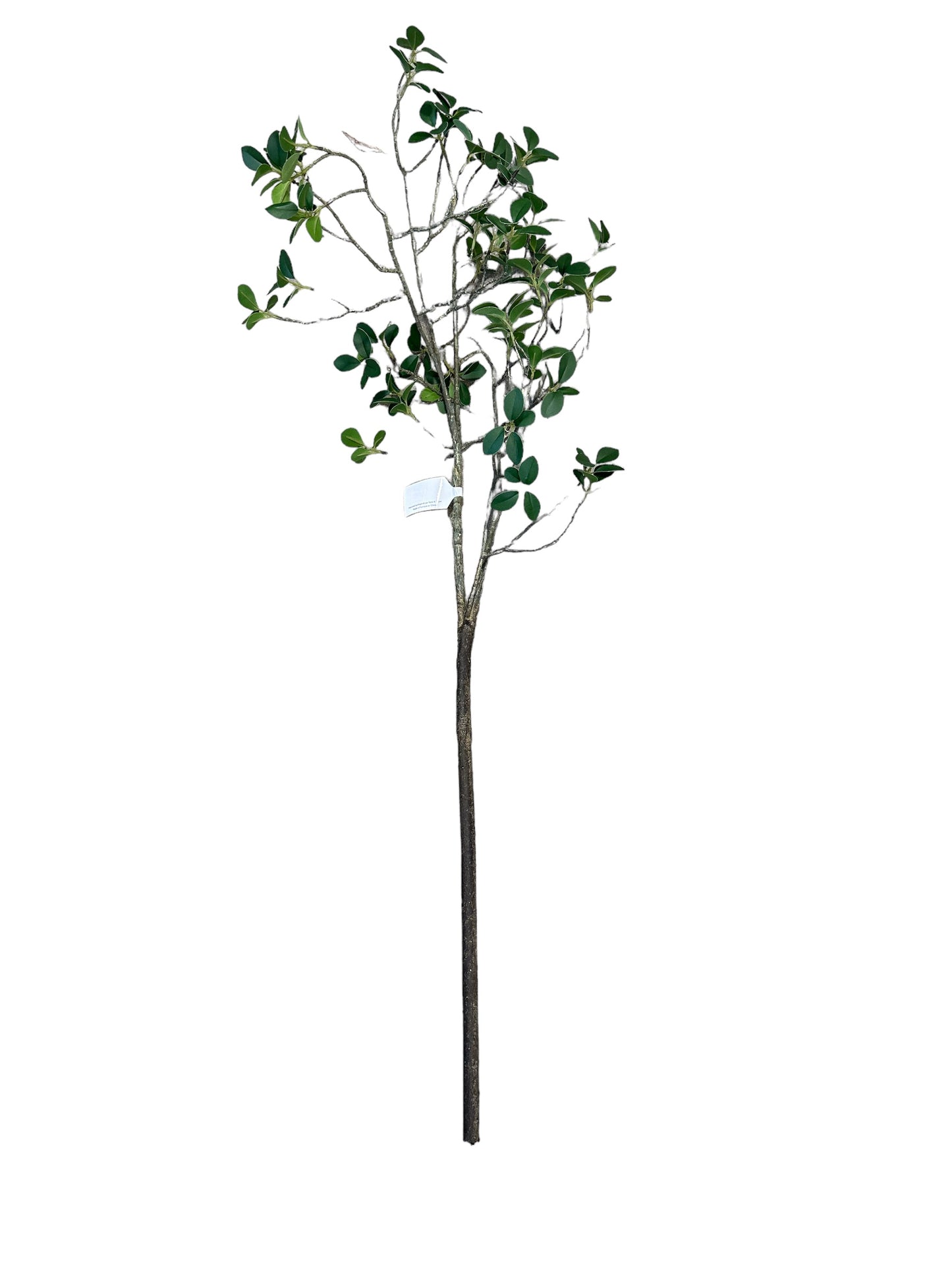 TT2488 Grove mini leaf branch spray