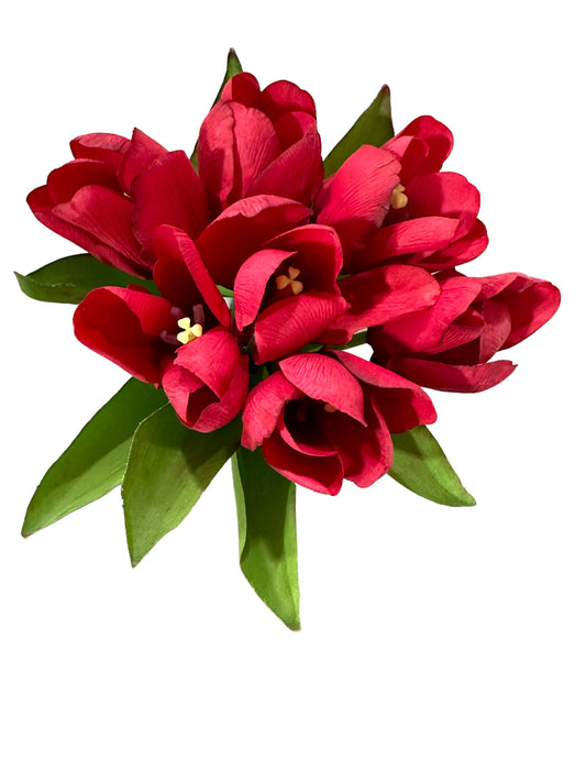 Tulip Bundle / Red (DH16)